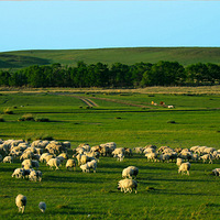 2017���ױ���������7��6�������Ҵ�Խ��ԭ+��ȴ��桿