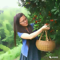 ����һ��ȥ���ְֹ�԰����ժ��÷��