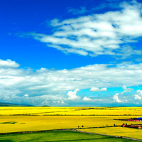 17��˿��֮· �ຣ������� �ػ͡��ŵ�����ɳɽ���迨