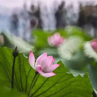 ��7.1��ѻ������ȥ����ɽ�����տ�����~