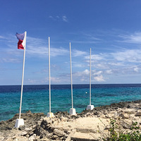 ���ɱ����