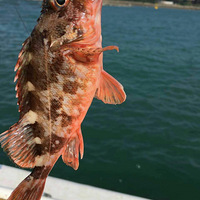 ��ȥƽ̶������һ����