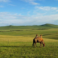 ���ױ�����ԭ���