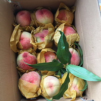 ����ζ������ ôô��