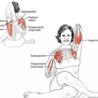 ��Ӳ����ʹ���羱����٣�