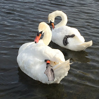 Ů���ĳ���