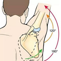 �á�����������������ؽ�