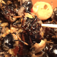 ֪�� ����