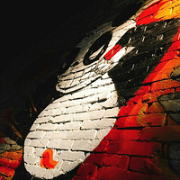 �͹���һ������