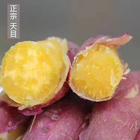 ���˻���� ��ĺܺó�