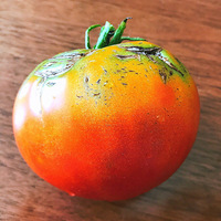 �Լ��ֵķ��� �Ѿ��Բ���ʮ����С˵