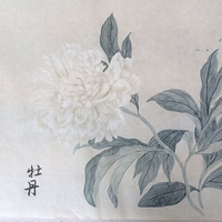 123