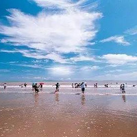 7.15-7.16���ܰ��ֵܣ���ɽ�����๫԰�������ƴ����̷������ˣ�