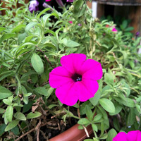 һ�ֽ���;��