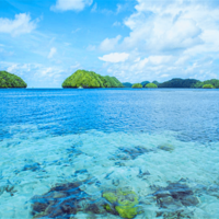 ���ǡ���Ҭ�����