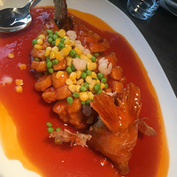 ����ʹ�����ɣ�����ʹ�˱���