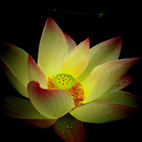 �߾�����֮��