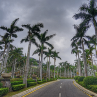 ������һ�����죬����������һ����