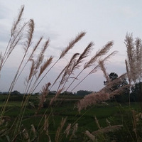 Every child is a star of hope