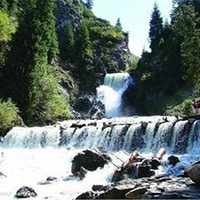 ����ʱ����Լ�½�����˹��������������ʳ������Ů