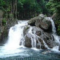 ����ʤ��