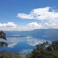 ������羰