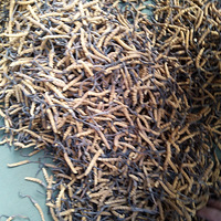 �����Ĳݣ���轣���Ģ��