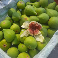 �Լ�����ɽ�������޻�����԰��������Ͼ�Ҫ������������