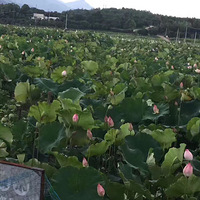 ��������Ψ�����������������ҵ��