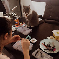 �����ò��ã���˵���㡪��