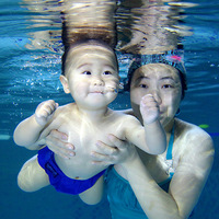 ����������Ӿ