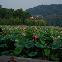 �ɻ�����