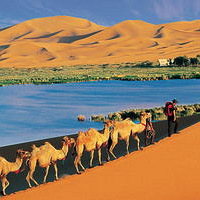 ͽ����Խ�ڸ���ɳĮ