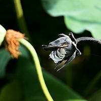 ������  �����   ʮ��ɻ�