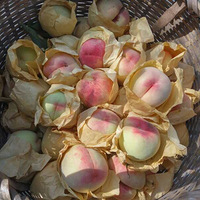 ��ζ�ò�Ҫ��Ҫ