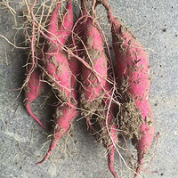 һ�ָ��� һ���ջ�