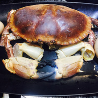 ��������Ʒ�ʺõ�������