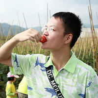 ��ô����ȥ���Σ�������������ʱ��ҲҪȥ����