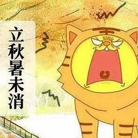 �����һ�������⼸����