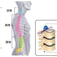 �����뿪���ӵģ��칫����չ�˶�