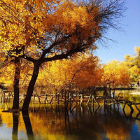 �������� ԽҰ����Խ�ڸ���ɳĮ����������������ཻ���Ų�