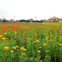 �������ֻ���