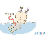 ����������Ӿ