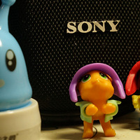 ֲ��԰�˰�����