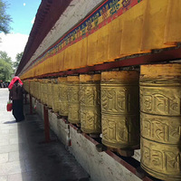 8.26�һ��  �ɶ�����  �������17�������