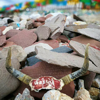 �����ս���ʵ