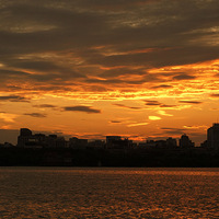 ������   ������