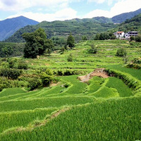 �ٰ�ũ����