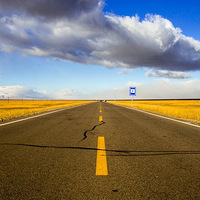 9.28-10.11�½��Լ��Σ���1ö���ӡ���