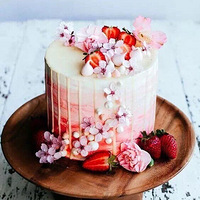 ��Ϧ�ʻ�����